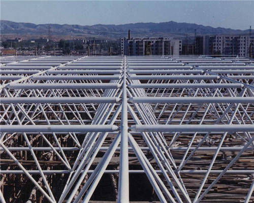 阜新梅雪啤酒廠包裝車間網架